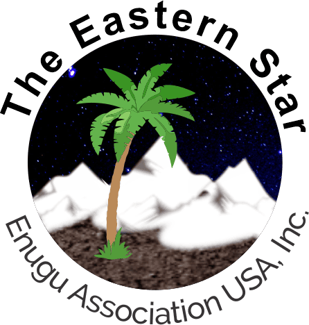 EnuguUSA Logo